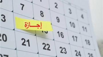 توقيت العطلة المرتقبة.. موعد إجازة ذكرى 25 يناير للطلاب والموظفين في مصر
